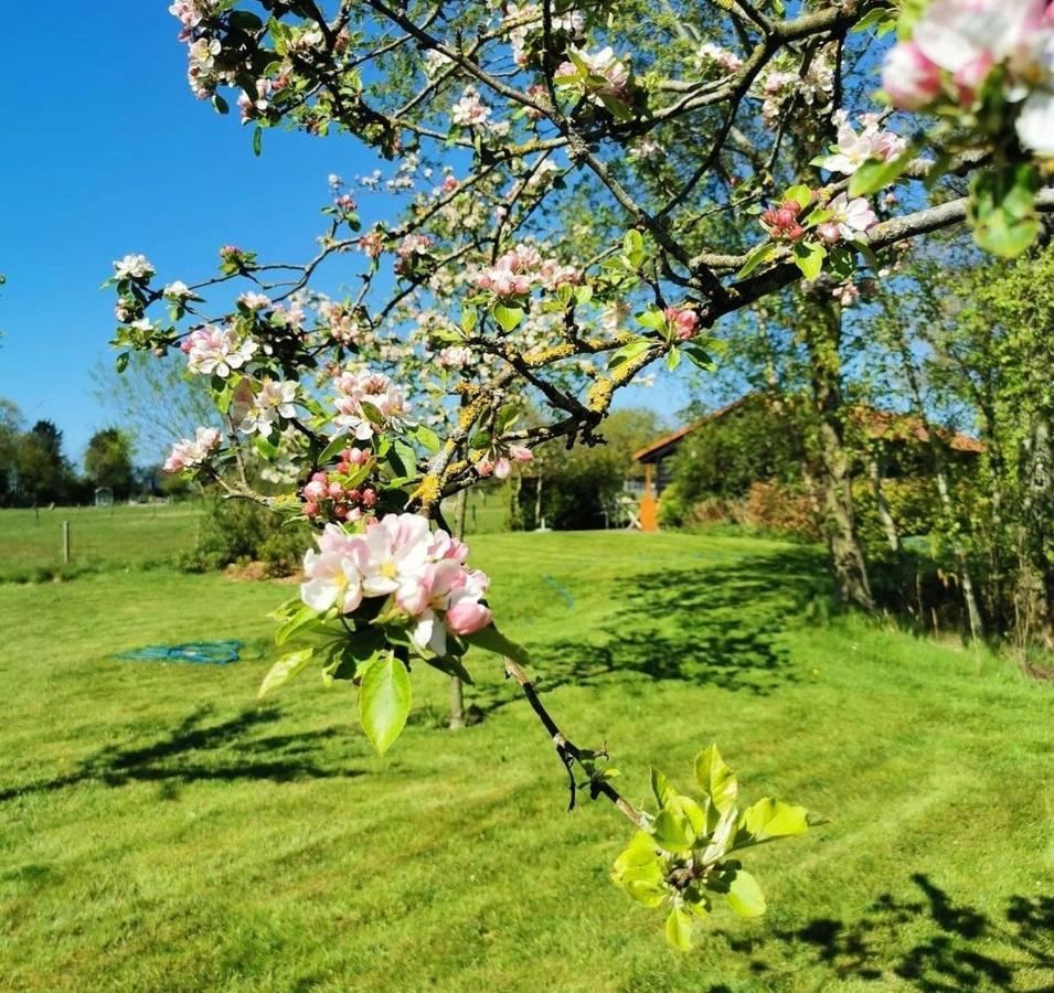 "Op Stok" Villa Bergen Luaran gambar